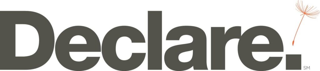 declare-logo