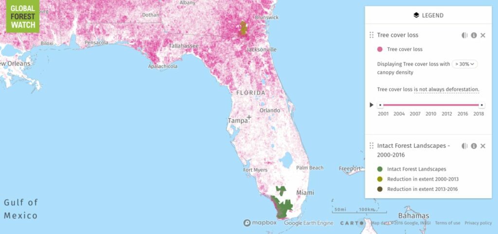 Map of Deforestation in Florida One Tree Planted